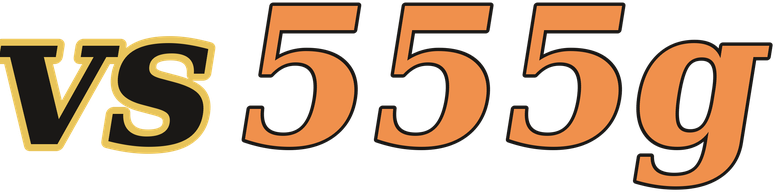 vs555g logo